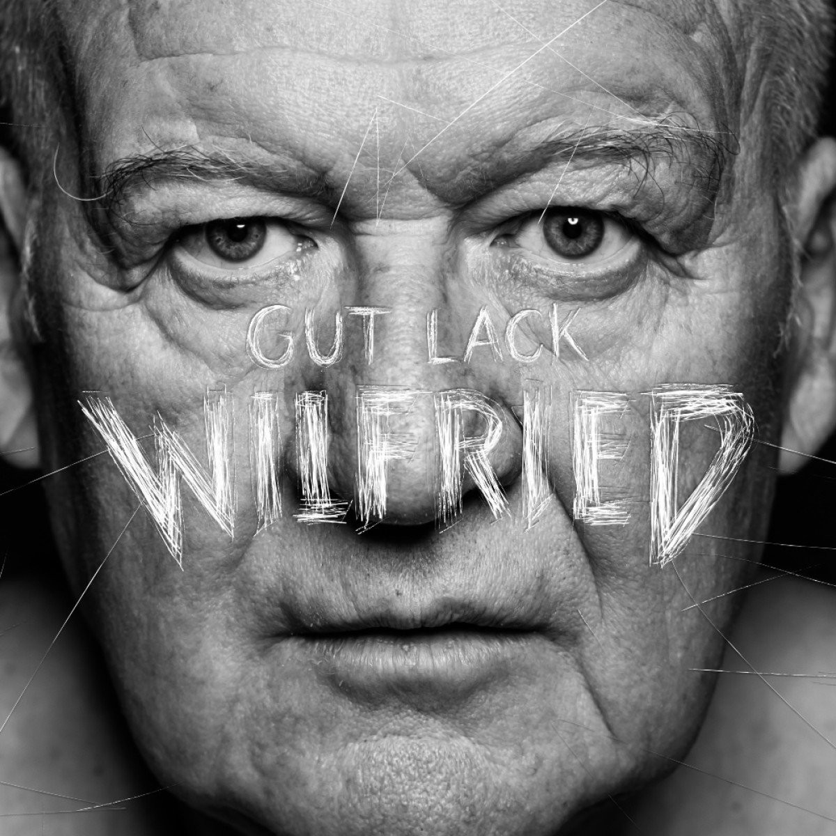 Wilfried Gut Lack (CD)