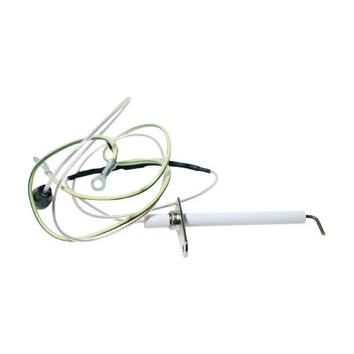 Beretta Elettrodo Accensione Rilevazione R2255 Caldaia Sylber Riello 4364852