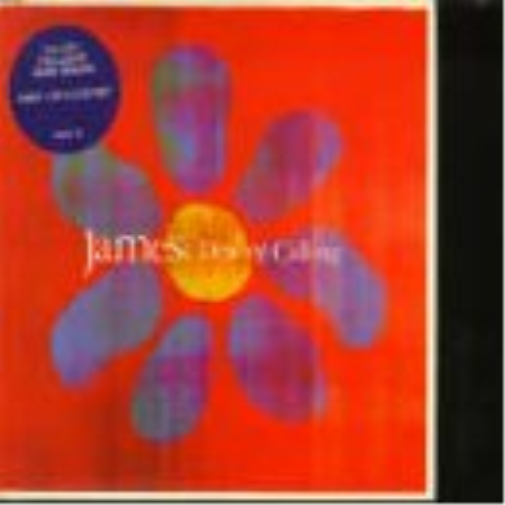 James Destiny Calling (CD)