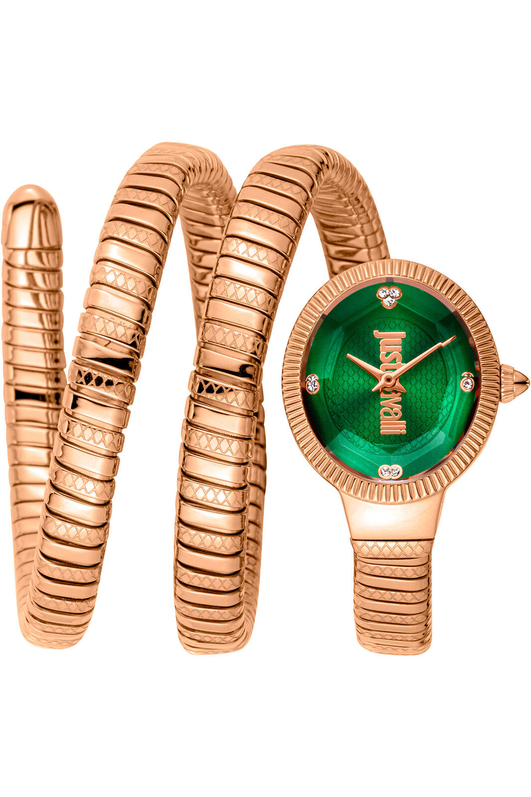 Orologio Just Cavalli JC1L269M0045 da Donna Verde bottiglia in Acciaio