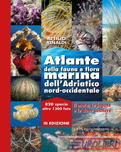 9788875865115 RINALDI ATLANTE DELLA FAUNA E FLORA MARINA DELL LA MANDRAGORA EDIT