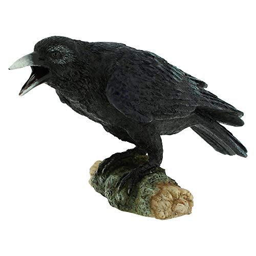 Nemesis Now Raven'S Call 20 Cm, Nero