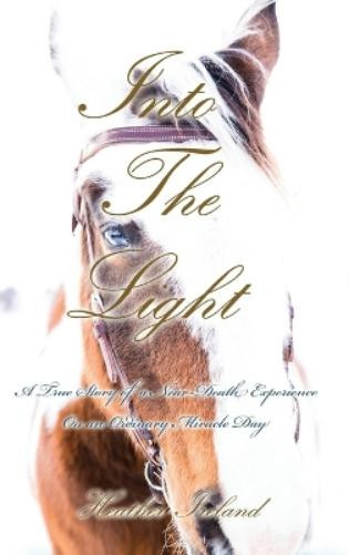Heather Ireland Into The Light (Copertina rigida)