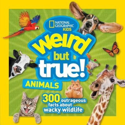 Weird But True Animals (Weird But True) (Weird But True)