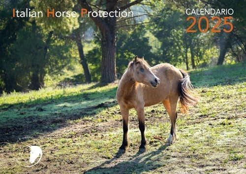 Libri Luce Dell'anima. Calendario 2025 (La)