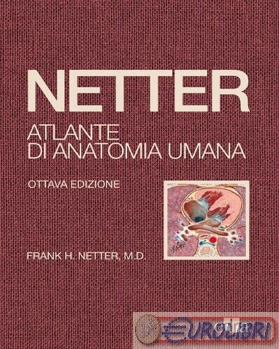 9788821457142 NETTER NETTER ATLANTE DI ANATOMIA UMANA ELSEVIER MASSON