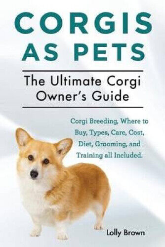 Corgis as Pets: Corgi Breeding, Where to Buy, Types, Care, Cost, Diet,