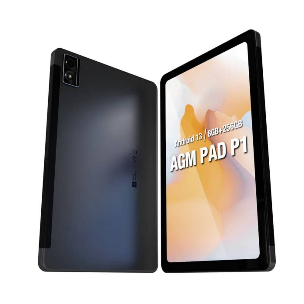 AGM Mobile PAD P1 Outdoor Tablet Android 26.3 cm (10.36 pollici) 256 GB WiFi,