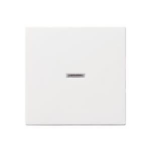 Wippe mit Kontroll Fenster fr Wippschalter und Wipptaster System 55 Reinwei seid