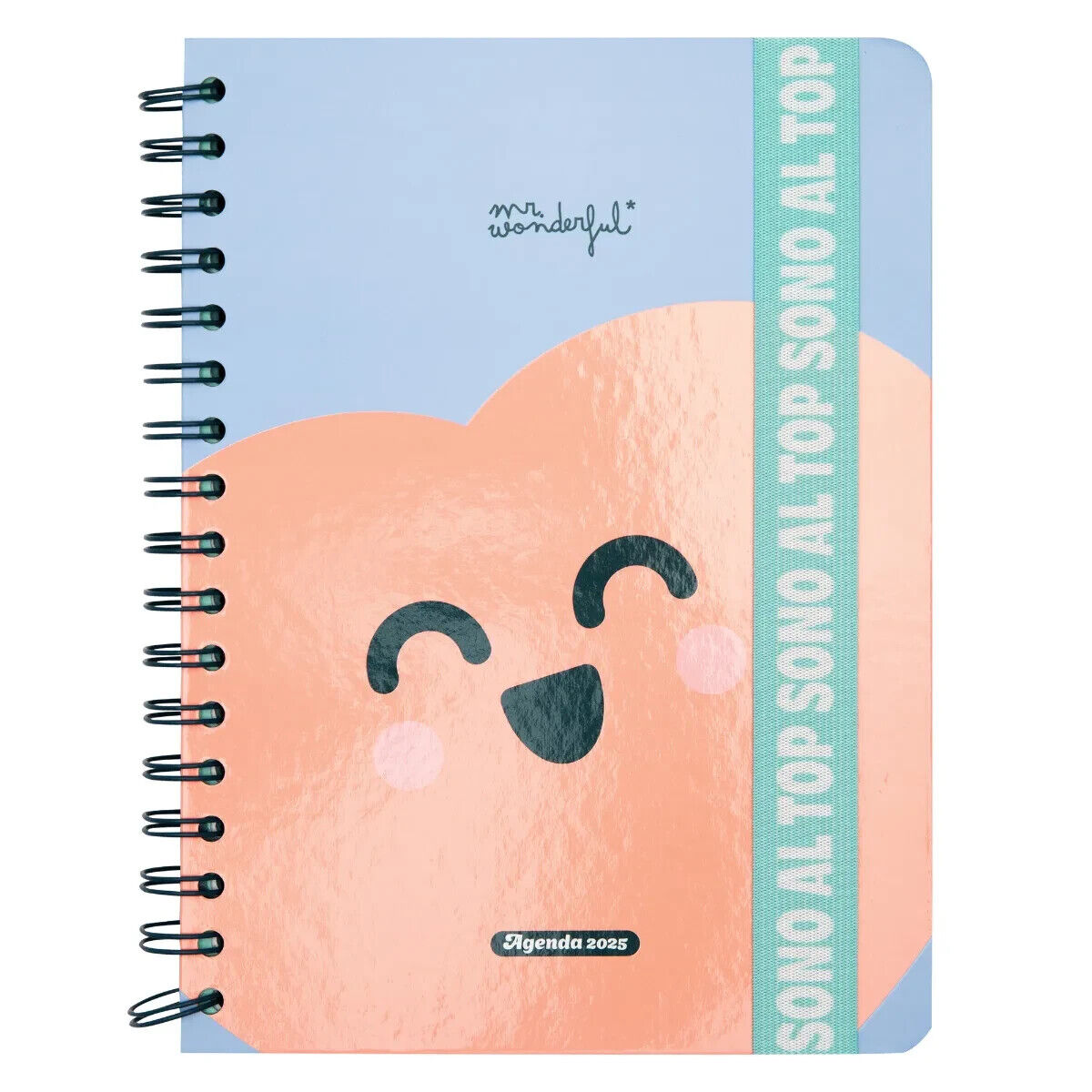 Agenda 2025: MR. WONDERFUL Agenda Wonder 2025 Settimanale – Sono al Top