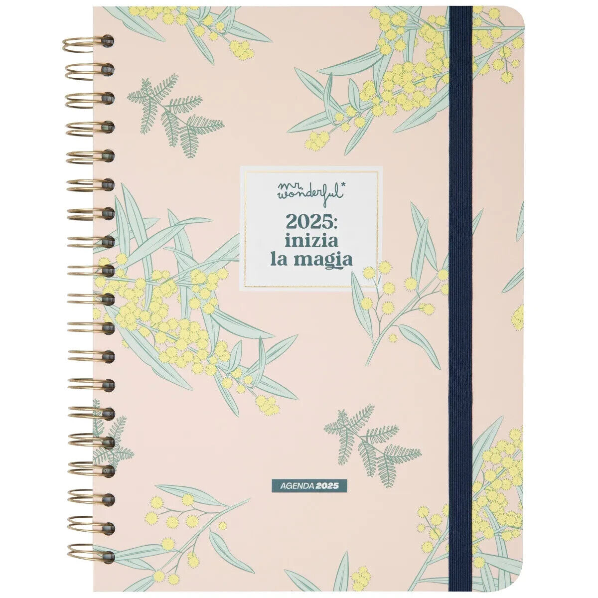 MR. WONDERFUL Agenda Office 2025 Settimanale Grande – Inizia la magia