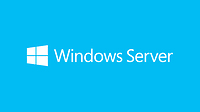 Microsoft Windows Server 2019 Client Access License [CAL] (Microsoft Windows Ser