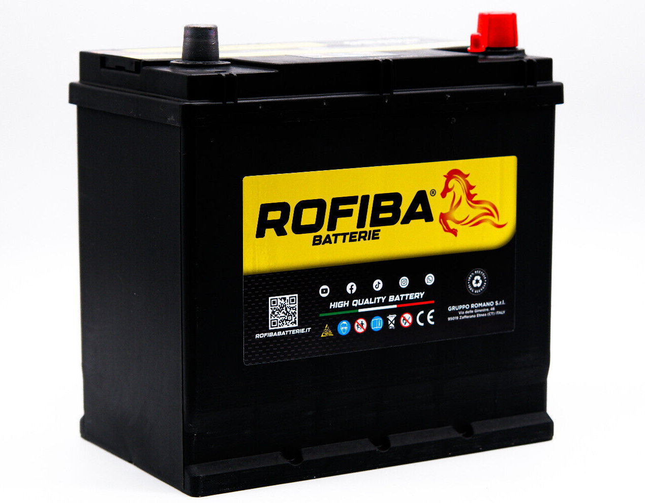 Rofiba Batteria per Auto E2  45Ah 12V Polo positivo DX = B23