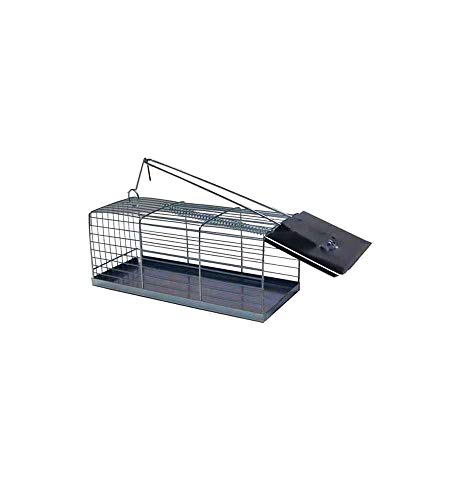 Domus Molinari Trappola Topi Galleria Cm 21