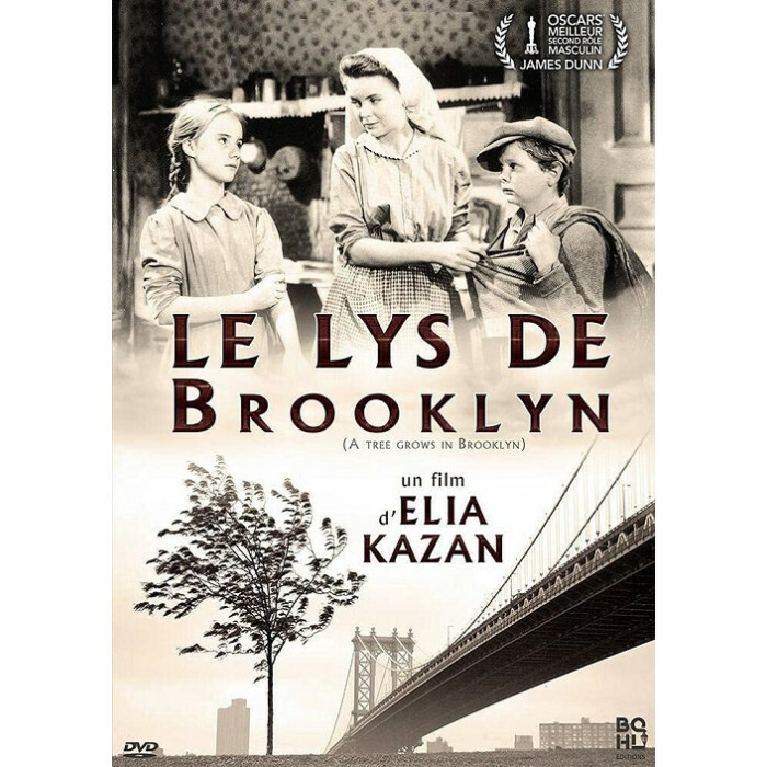 Il Giglio Di Brooklyn DVD NUOVO
