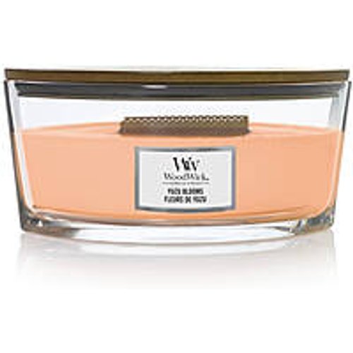 Candela Woodwick Candele A Clessidra 1728622E
