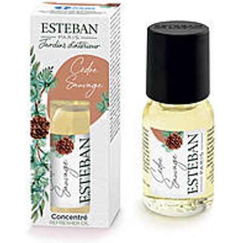 Profumatori Esteban BCS-006