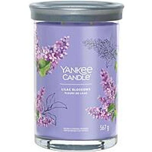 Candela Yankee Candle Signature 1630031E