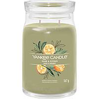 Candela Yankee Candle Signature 1629961E