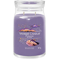 Candela Yankee Candle Ss24 Q1 1749347E