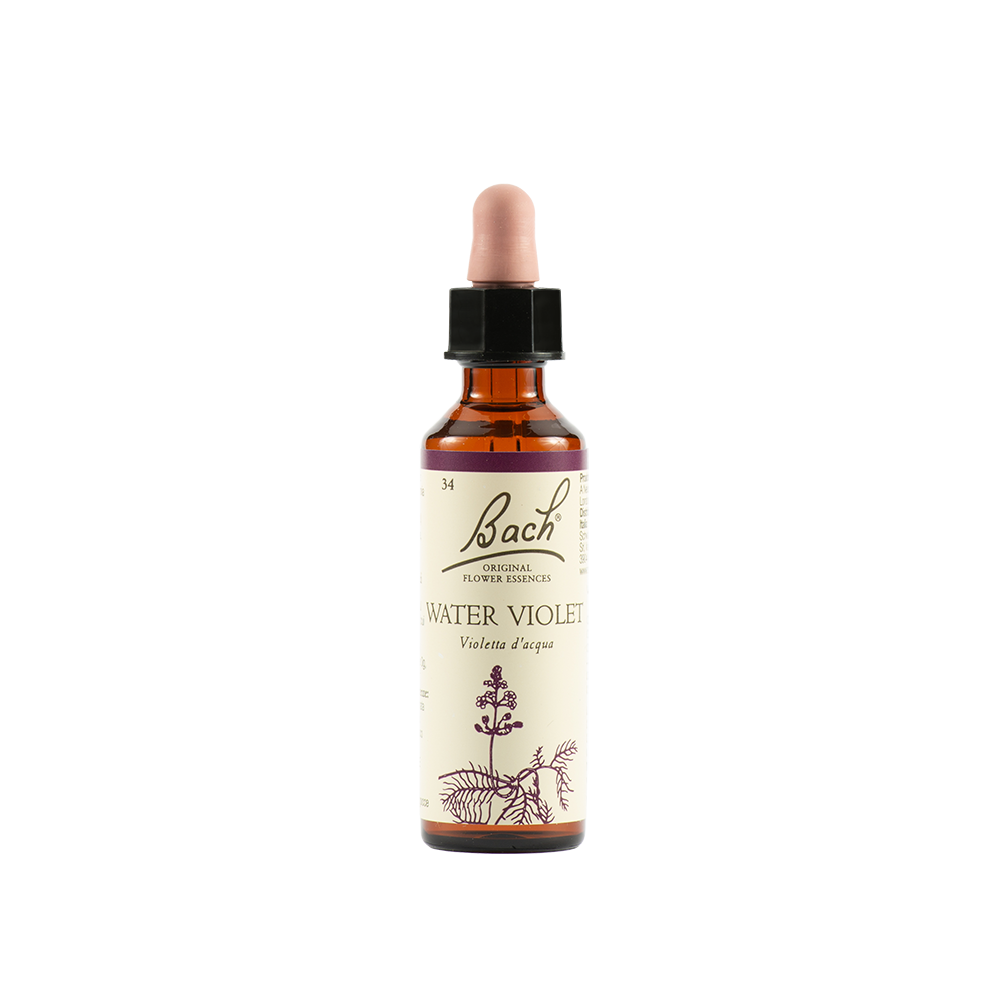 Water Violet Bach Original 20 Ml