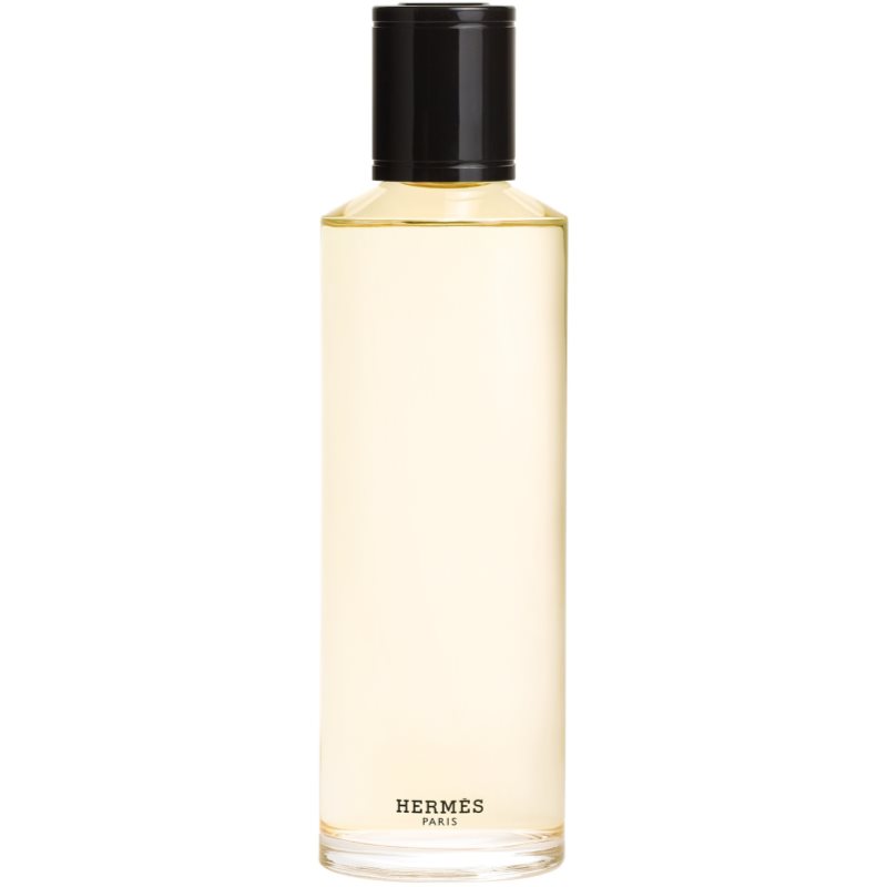 Hermès Terre D’Hermès Eau De Parfum Intense Ricarica Per Uomo 200 Ml