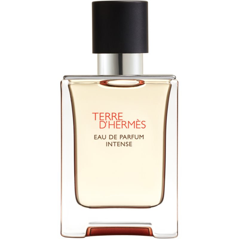 Hermès Terre D’Hermès Eau De Parfum Intense Per Uomo 50 Ml