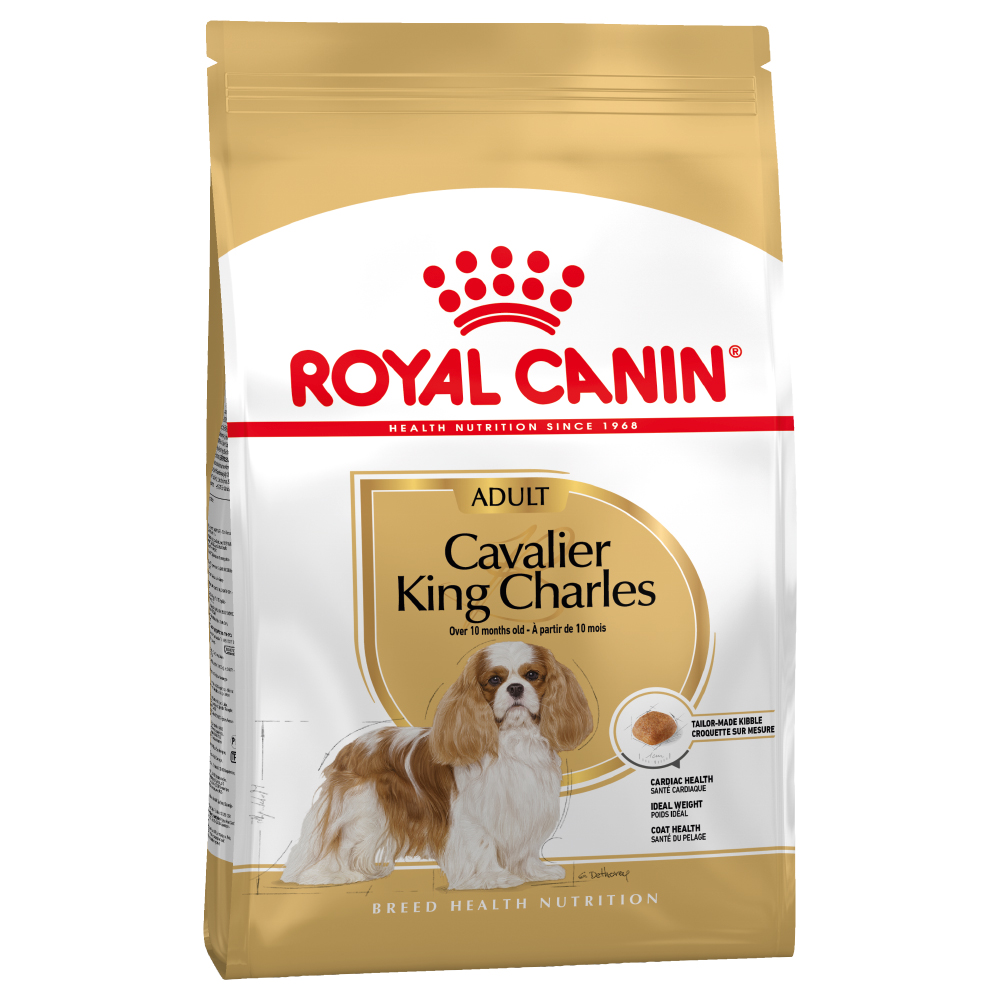 Royal Canin Breed 3 kg - Cavalier King Charles Adult