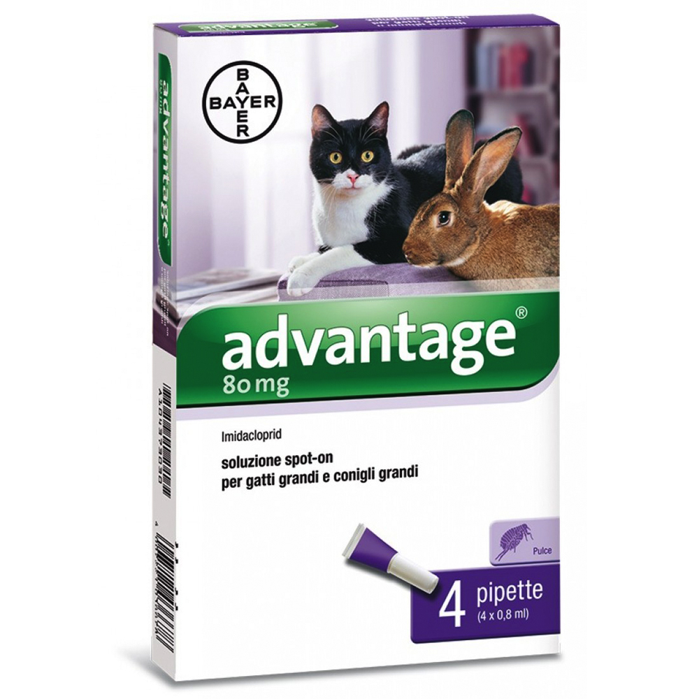 Advantage® soluzione spot-on per gatti e conigli - 80 (peso da 4 kg) - 4 pipette da 0,8 ml