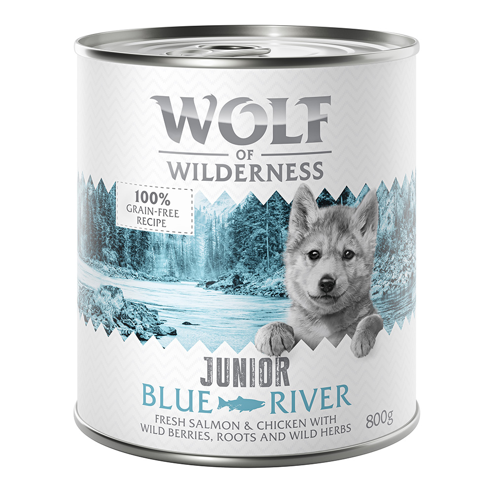 Wolf of Wilderness Junior 6 x 800 g umido per cane - Blue River - Pollo & Salmone