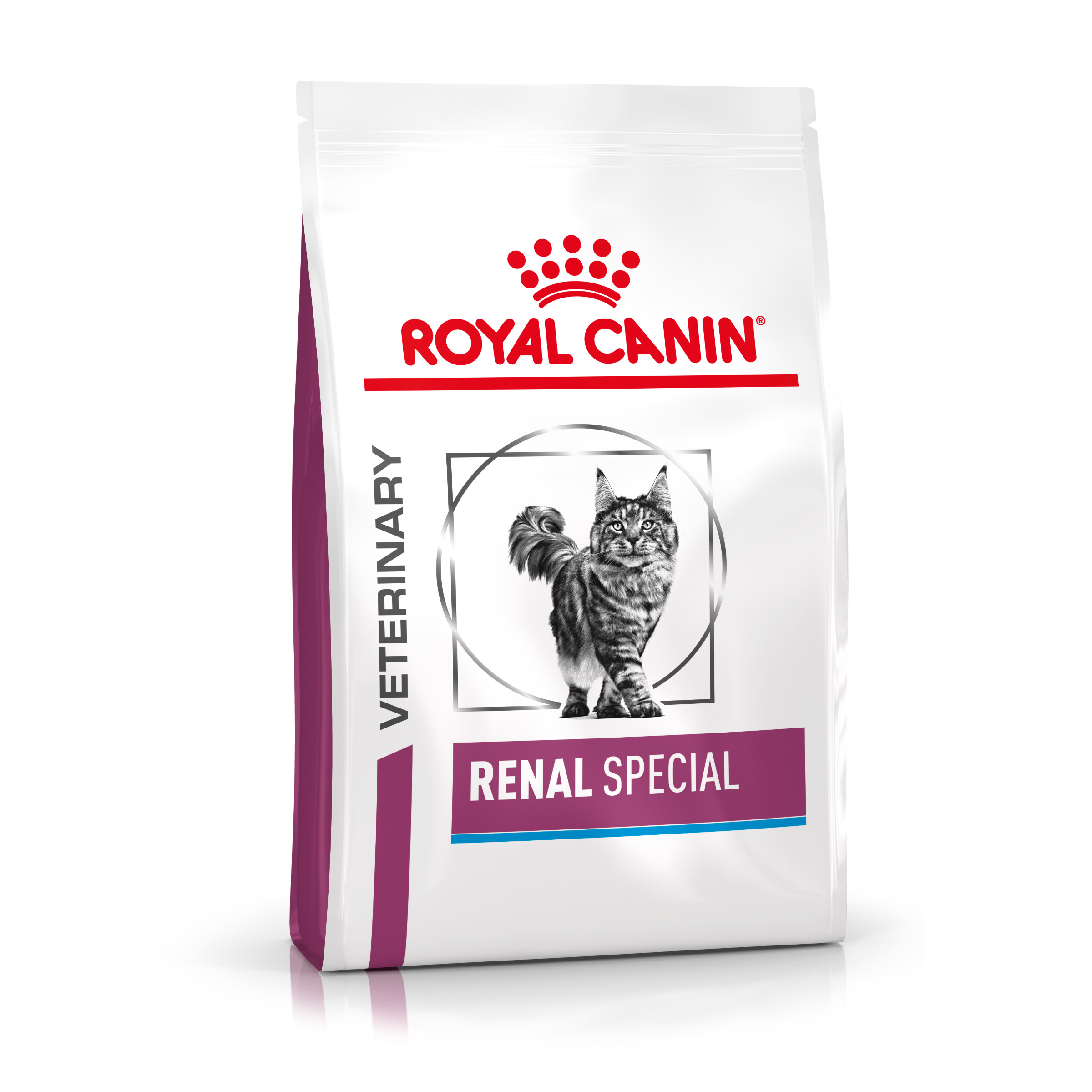 Royal Canin Renal Special Veterinary Crocchette gatto - 2 kg