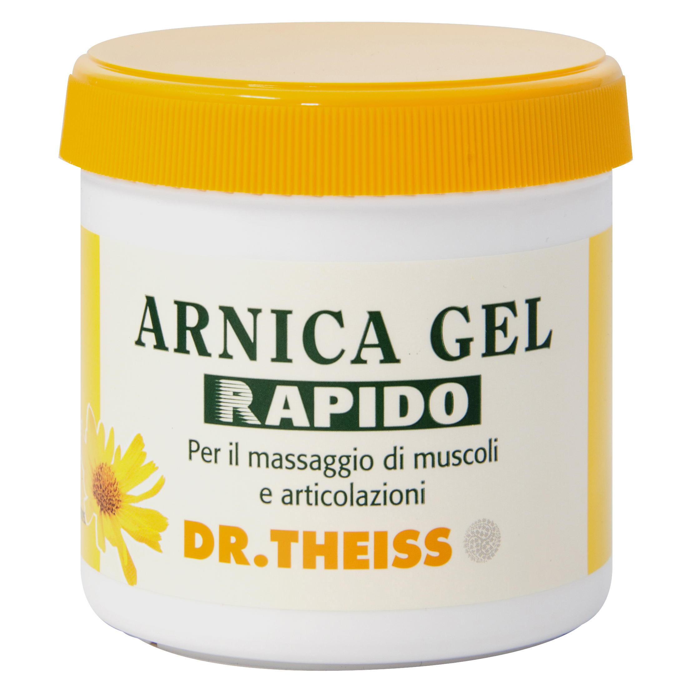 Dr Theiss Arnica Gel Rapida