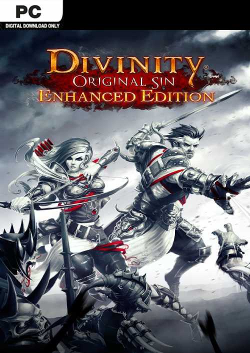 Divinity: Original Sin - Enhanced Edition Pc