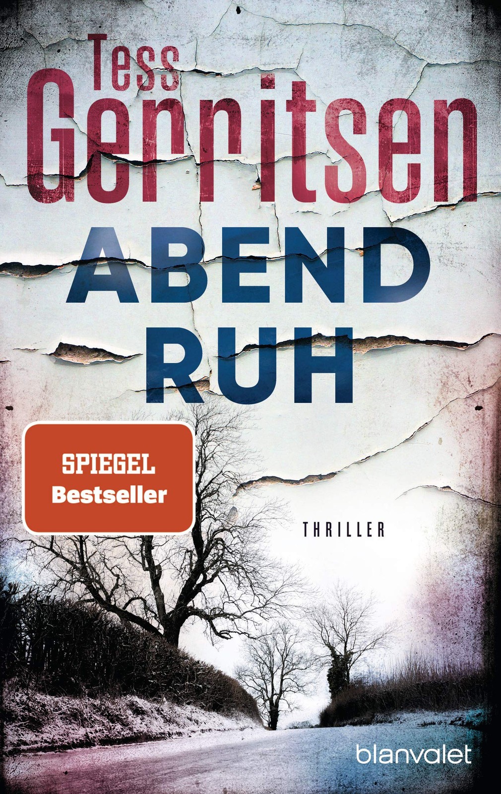Abendruh: Thriller: 10 (X8c)