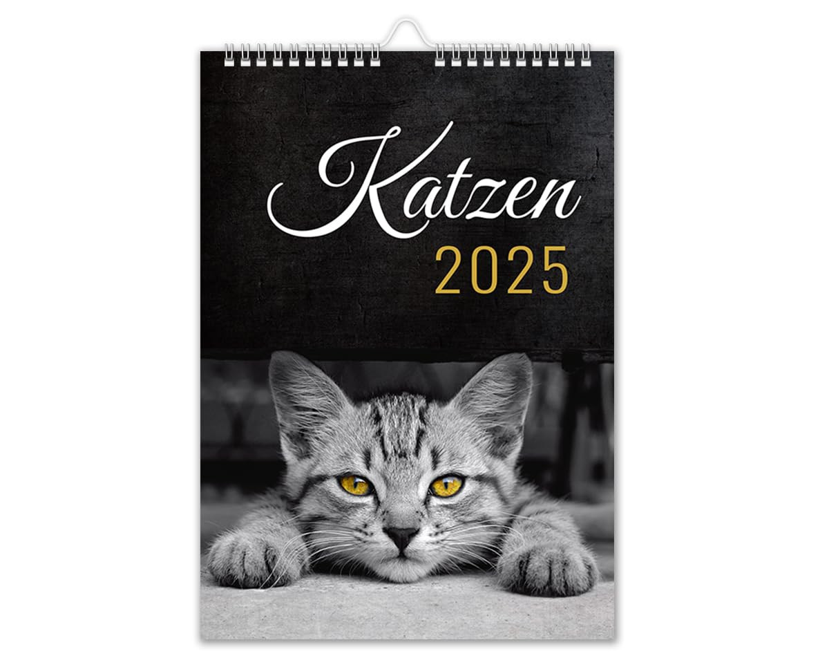 Calendario 2025 gatti, da parete, formato DIN A4, con motivo gatto, (F2e)