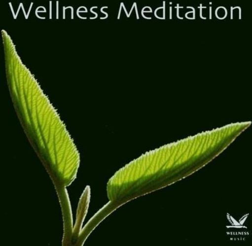 Audio Cd Wellness Meditation / Various