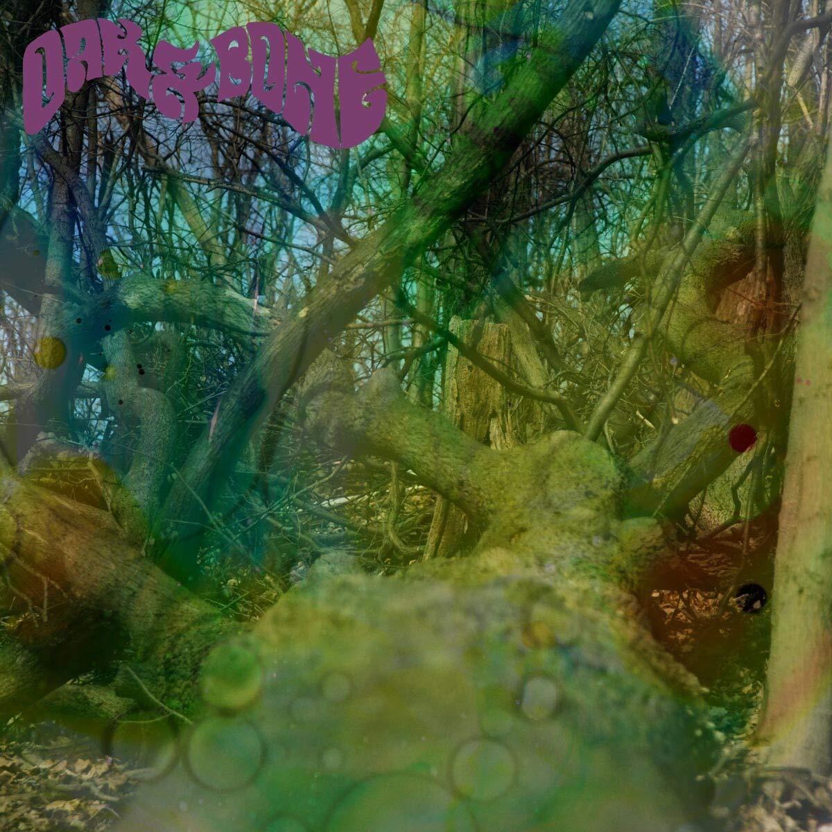 Oak & Bone Oak & Bone (Vinyl LP)