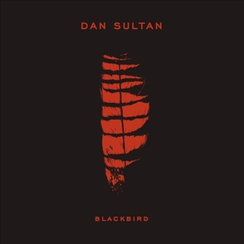 Blackbird by Dan Sultan