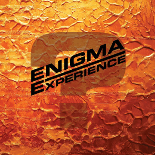 Enigma Experience ? (CD) Album