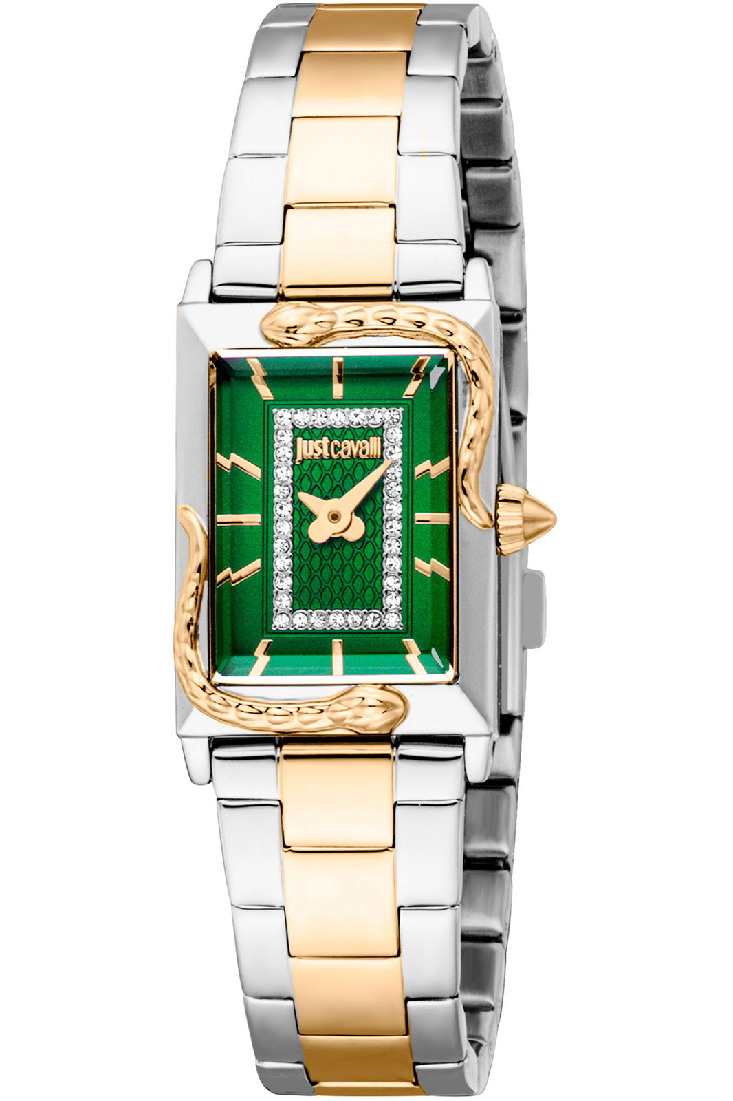 Orologio Just Cavalli  JC1L364M0095 da Donna  Verde bottiglia in Acciaio INOX
