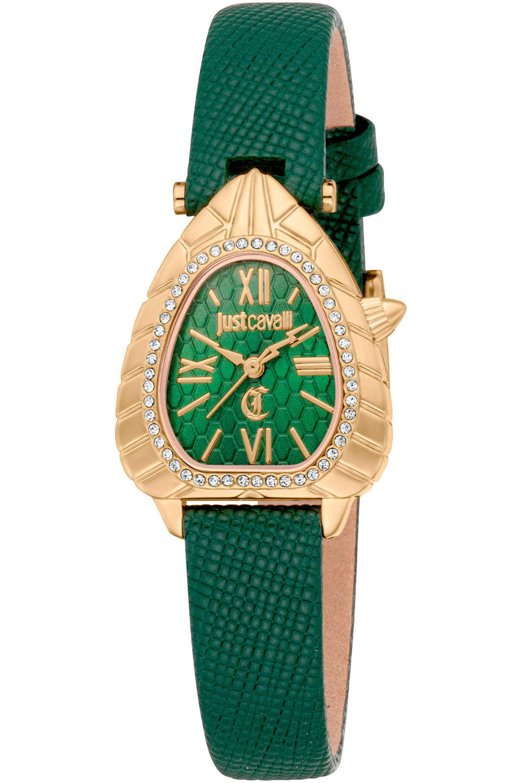 Orologio Just Cavalli  JC1L366L0025 da Donna  Verde bottiglia in Acciaio INOX