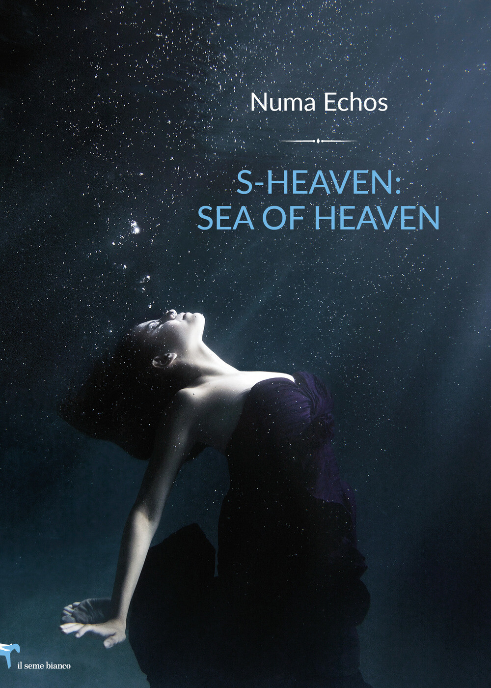 S-heaven: sea of heaven. Ediz. italiana - Numa Echos