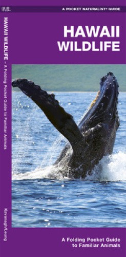 Hawaii Wildlife: A Folding Pocket Guide to Familiar Species (Pocket Naturalist