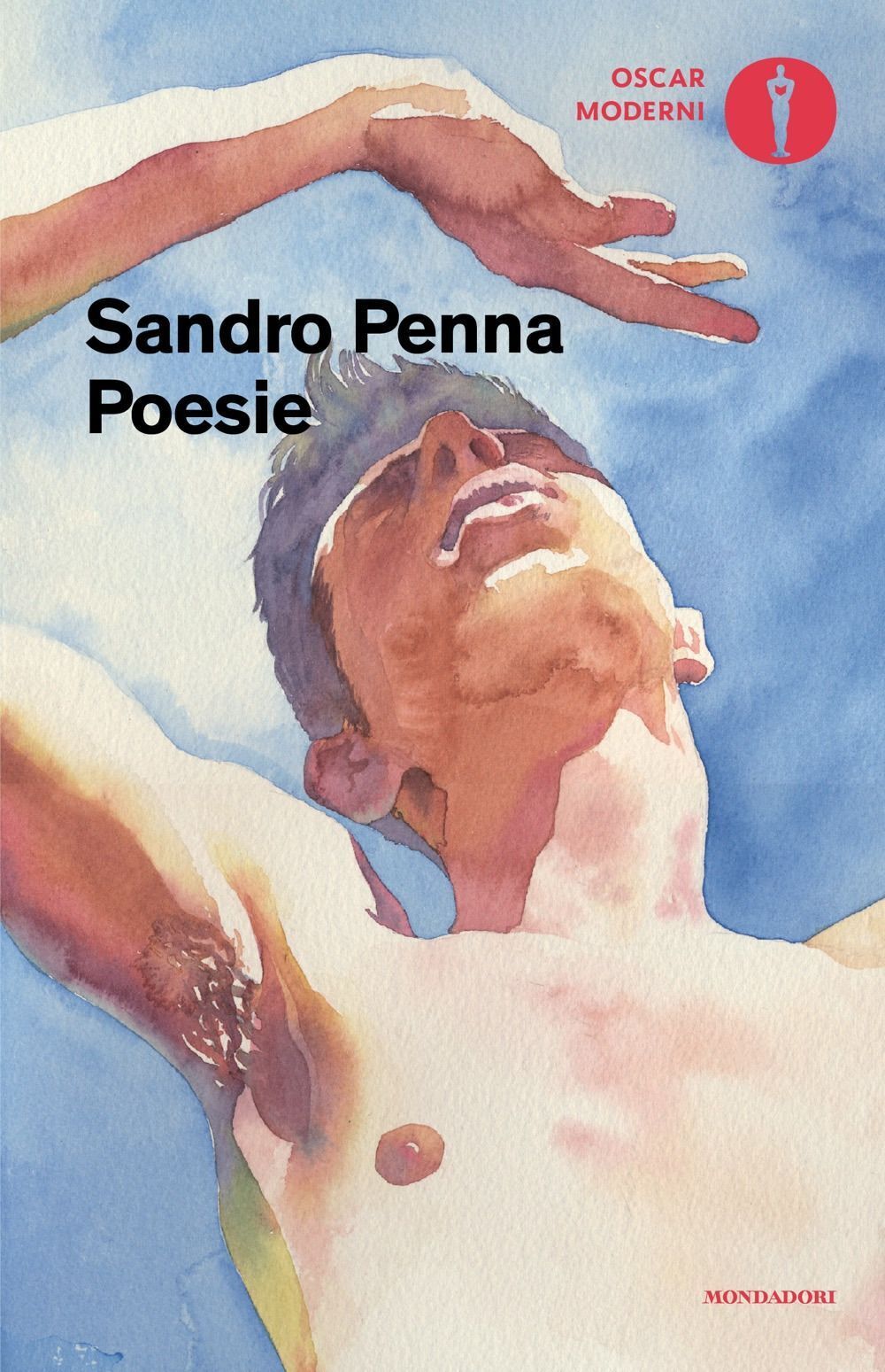 Libri Sandro Penna - Poesie