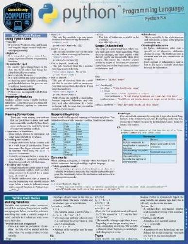Berajah Jayne Python Programming Language (Poster)