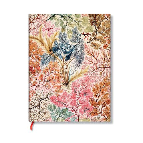 Anemone (William Kilburn) Midi Unlined Softcover Flexi Journal (Elastic Band