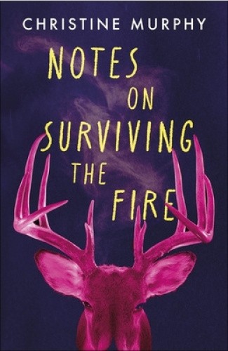 Notes on Surviving the Fire: A razor-sharp, darkly funny literary novel about