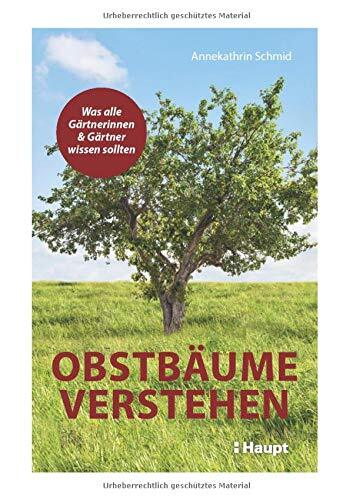 Annekathrin Sch Obstbäume verstehen: Was alle Gärtnerinnen un (Copertina rigida)