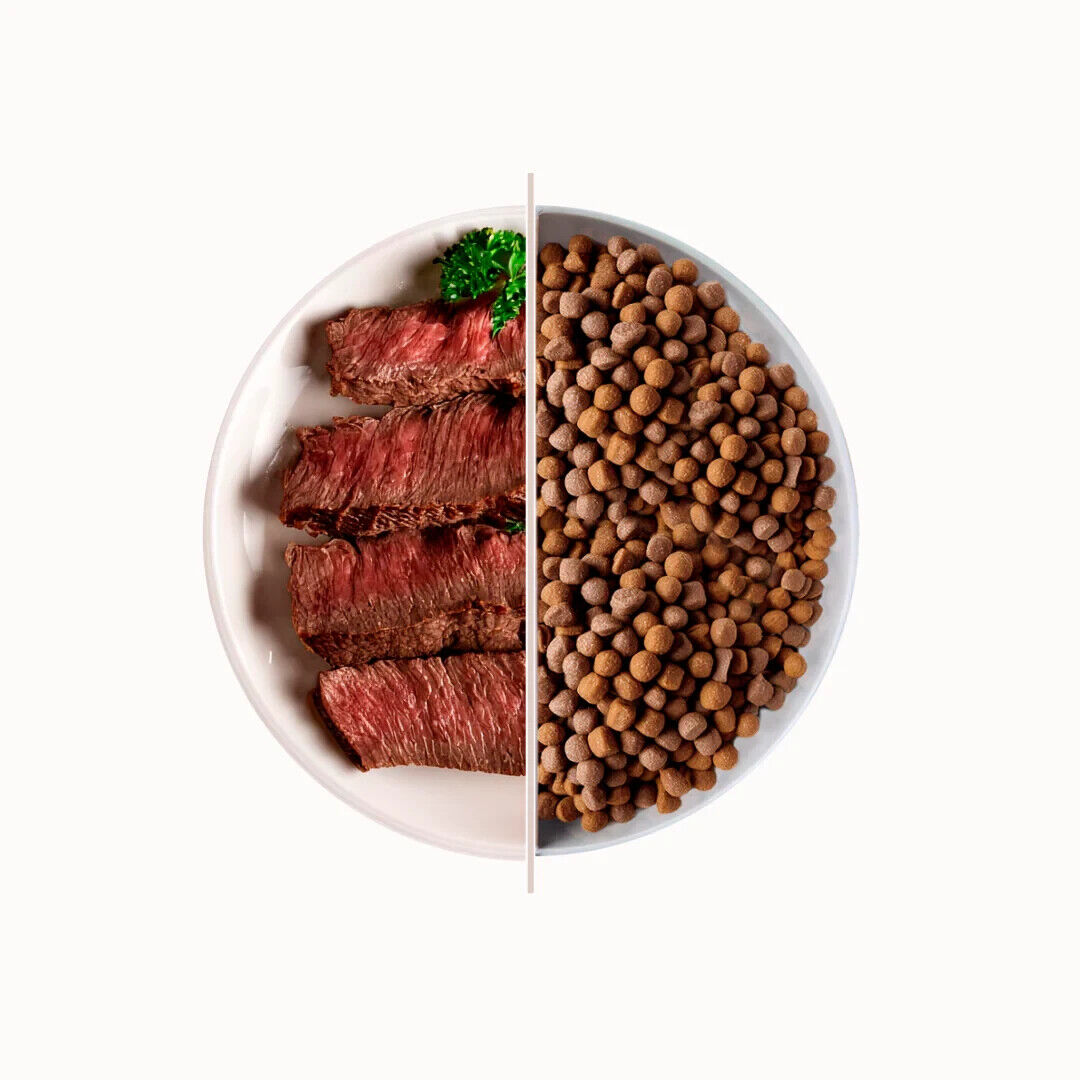Top Premium Food for Dogs Crocchette per cani Mangime Adulti 3 Kg Beef Manzo