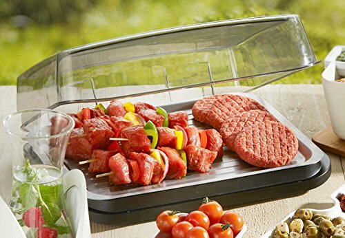 Vacu Vin 3548360 Rinfrescatore per barbecue (Q8Q)